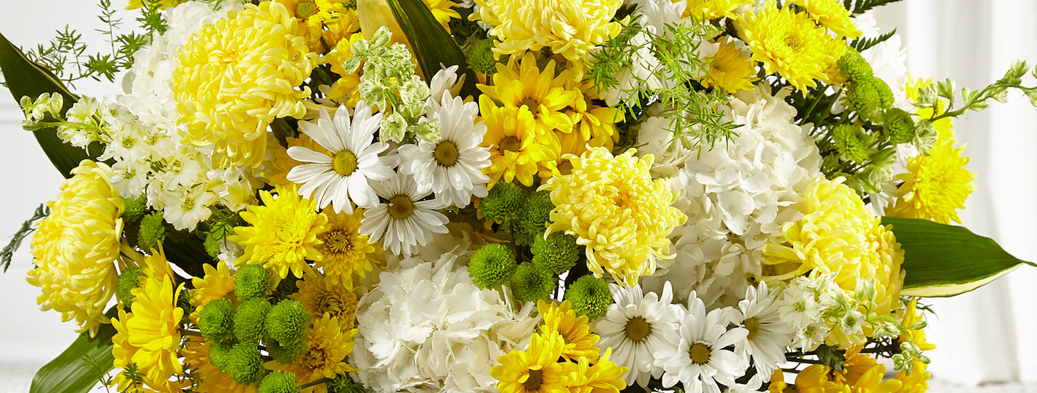 Warm Remembrance