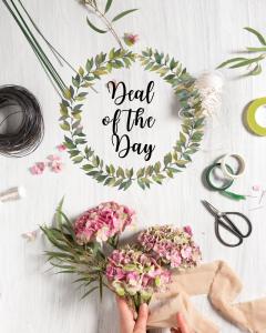 Deal of the Day - Winter