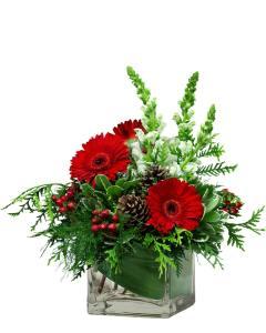 Cheerful Berry